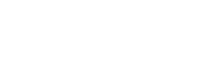 singular-agency-white-700